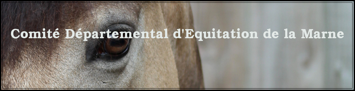 Comité Départemental d'Equitation de la Marne
